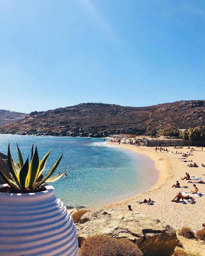 Agrari Ninemia Mykonos Hotel Buitenkant foto